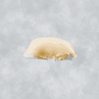 Best White Tuna in Brooklyn, NY